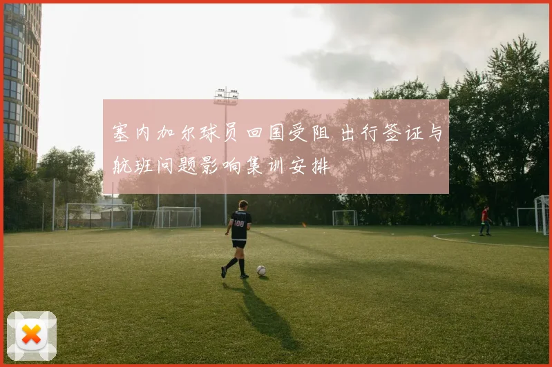 塞内加尔球员回国受阻 出行签证与航班问题影响集训安排